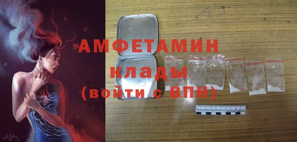 индика Бугульма