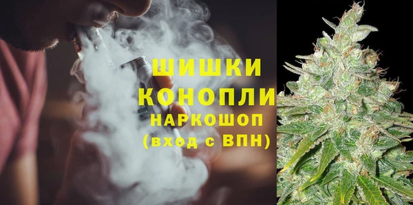 гидропоника Богданович